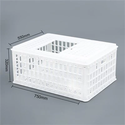 Chuồng vận chuyển gà nhựa