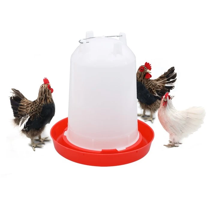Máy uống nước cho gà