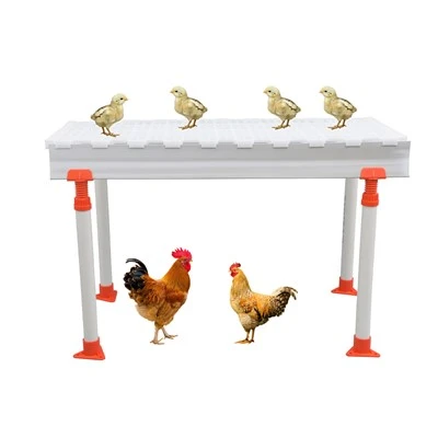 Tấm nhựa chống rò rỉ phân gia cầm cho trang trại gia cầm
